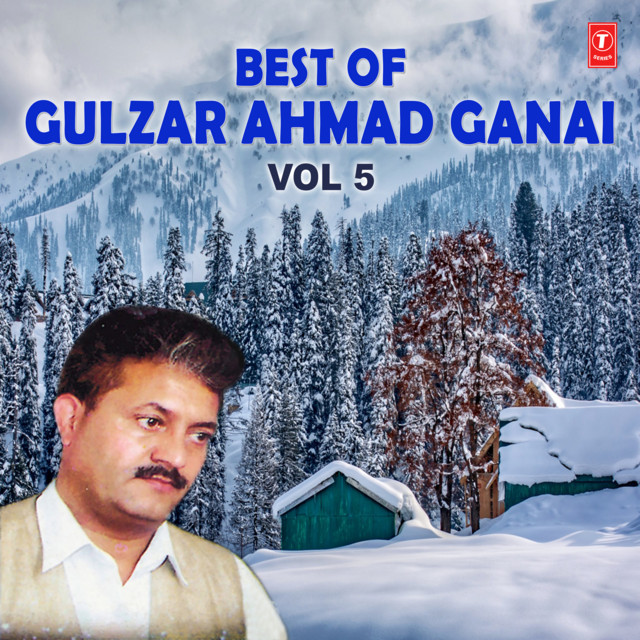 Best Of Gulzar Ahmad Ganai Vol-5 cover art
