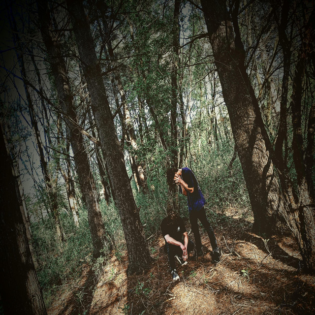 Have the Moonlight Shine On My Dead Body To Prove That I Had the Potential To Shine