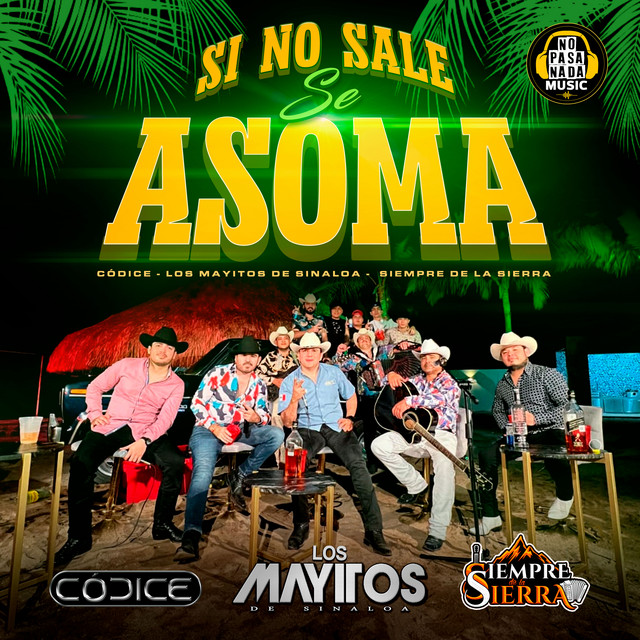 Si No Sale Se Asoma (En Vivo) cover art