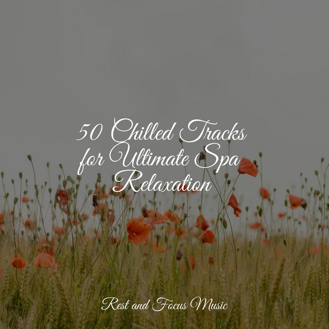 50 Chilled Tracks for Ultimate Spa Relaxation - Album by Meditation ...
