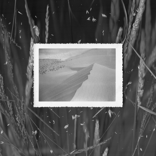 The Natural World cover art