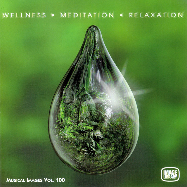 Wellness Meditation Relaxation cover art