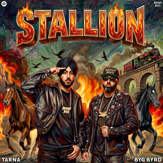 Stallion album image