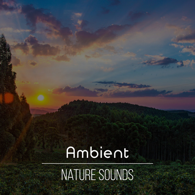 Ambient Nature Sounds, Vol. 7 - Compilation by Various Artists | Spotify