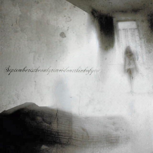 scars like kimberly cover art