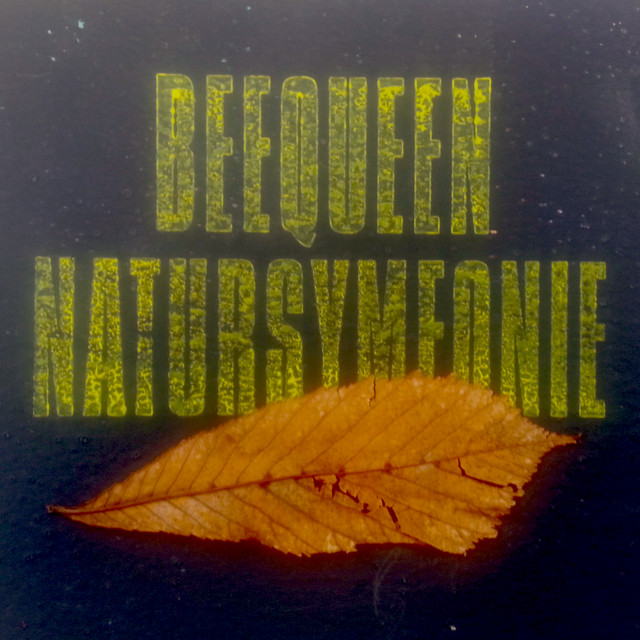 Natursymfonie cover art