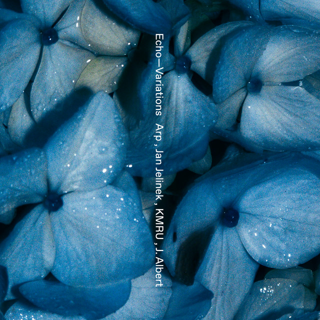 Echo—Variations (1) cover