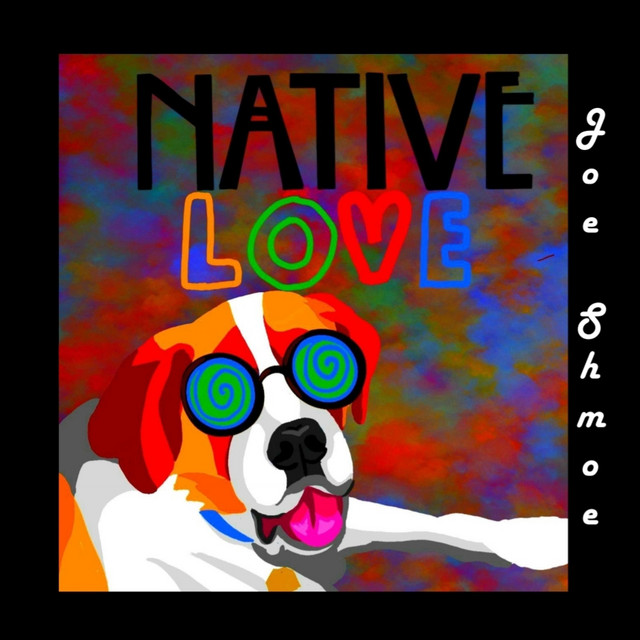 Joe Shmoe cover