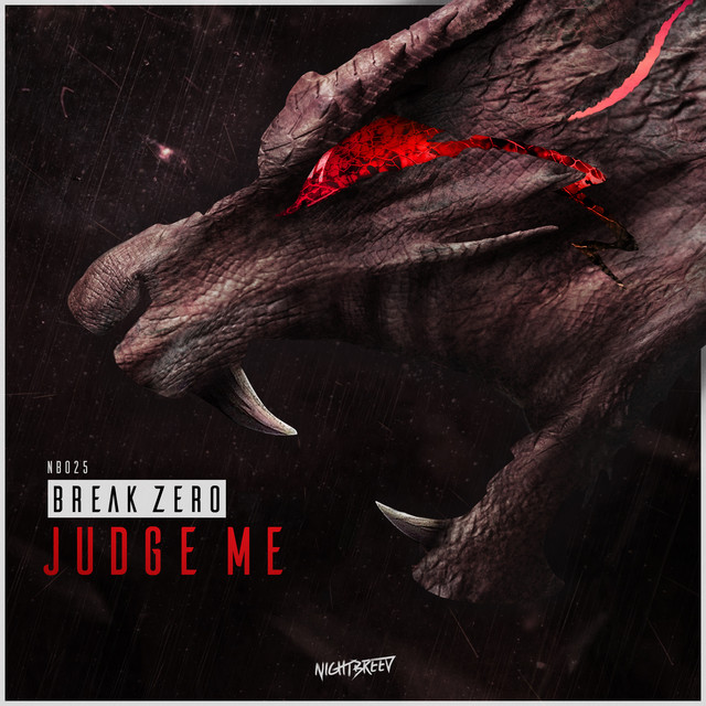 Judge Me cover