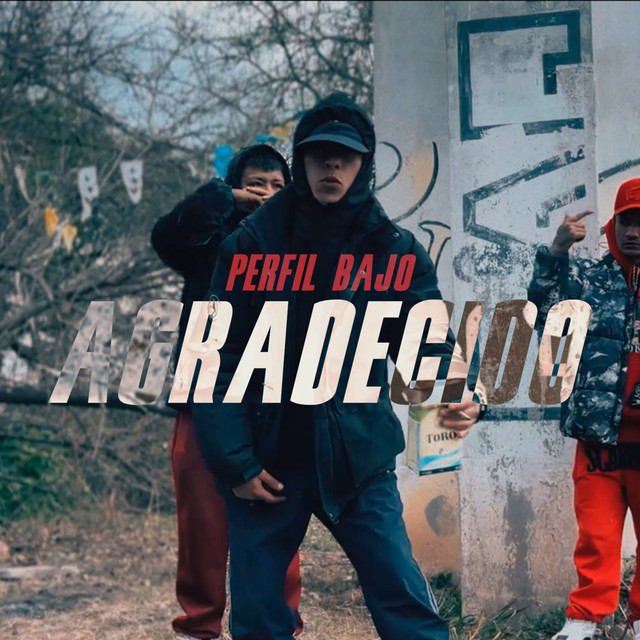 Agradecido by Perfil Bajo