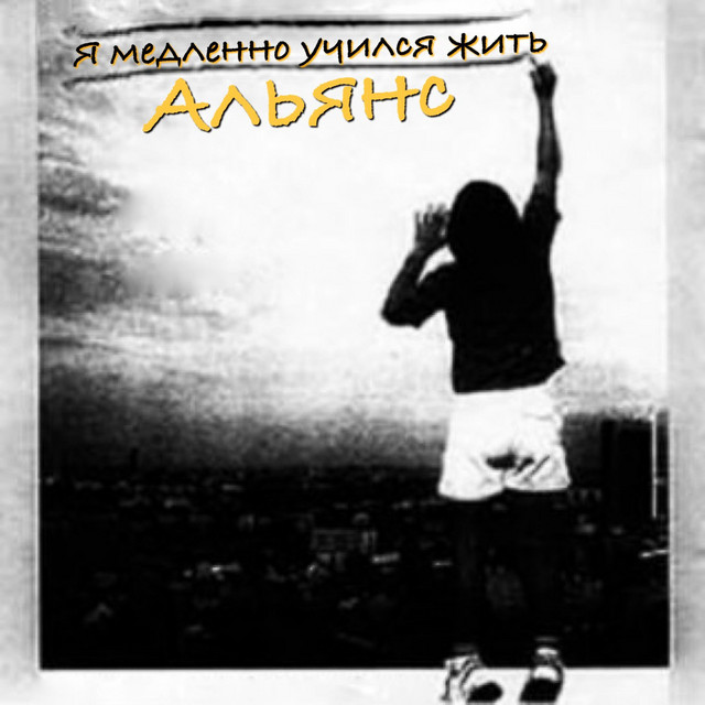 Я медленно учился жить cover art