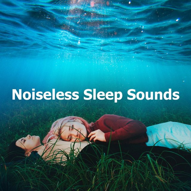 Noiseless Sleep Sounds - Album by Sleep Sound Library | Spotify