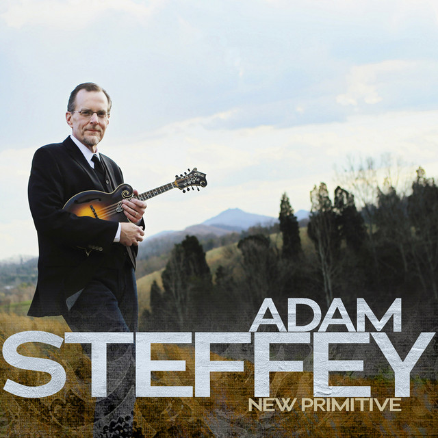 New Primitive cover art