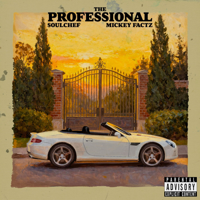 The Professional artwork