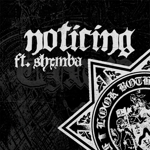 noticing cover art