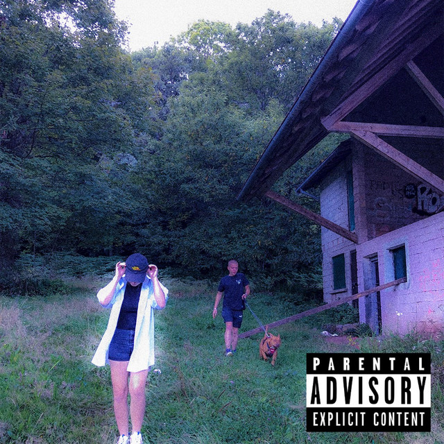DS2 (ShortVersion) cover art