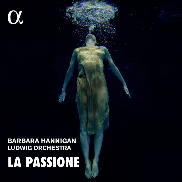 Symphony No. 49 in F Minor, Hob. I:49 'La Passione': Symphony No. 49 in F Minor, Hob. I:49 'La Passione': II. Allegro di molto