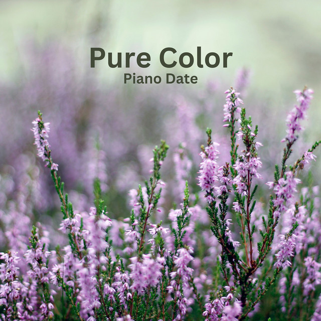 Обкладинка: Pure Color — Piano Date
