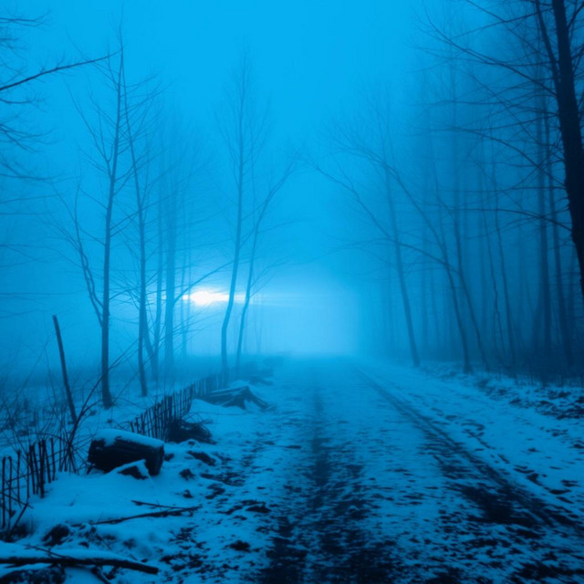 world froze