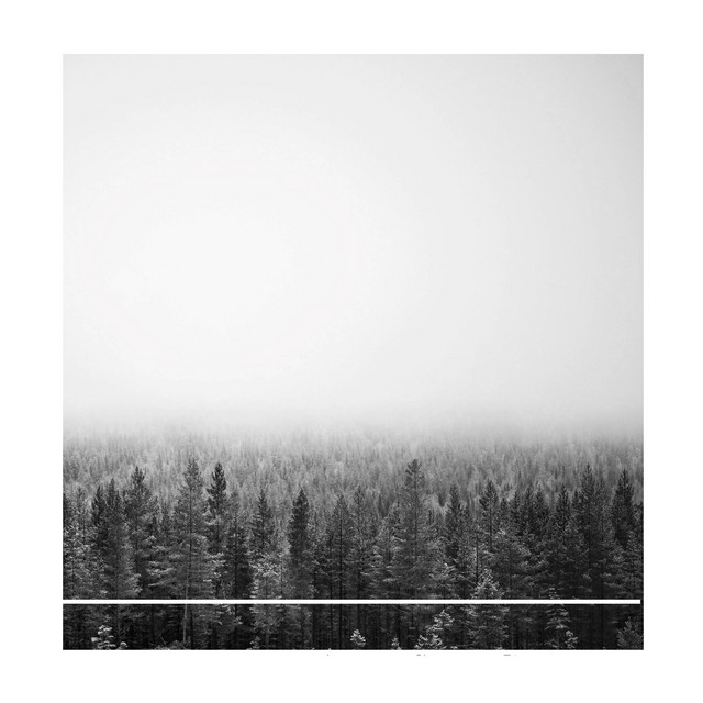 Ecodust cover art