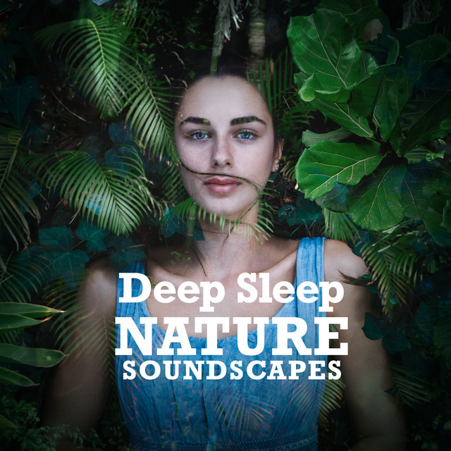 Nature Deep Sleep - song and lyrics by Deep Sleep Nature Sounds | Spotify