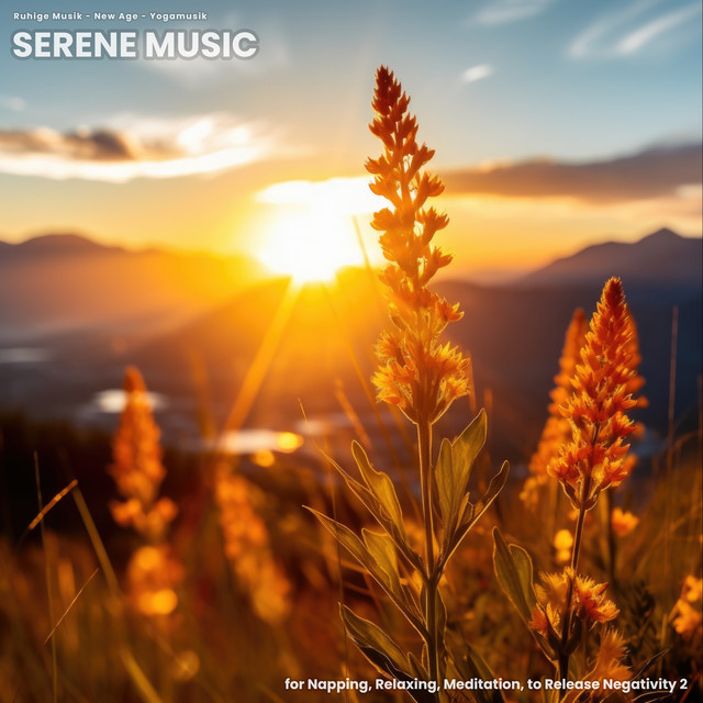 Serene Music for Napping, Relaxing, Meditation, to Release Negativity 2 ...