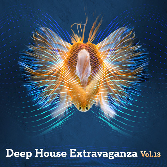 Deep House Extravaganza, Vol.13 cover art