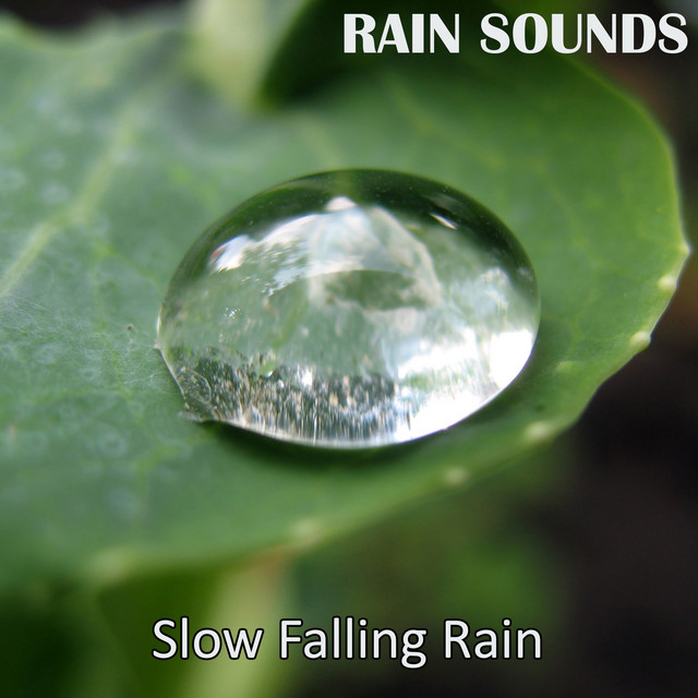 Slow Falling Rain cover art
