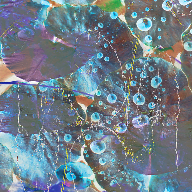 Harvest cover art