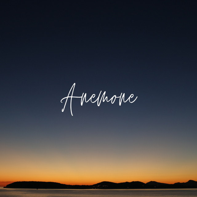 Anemone