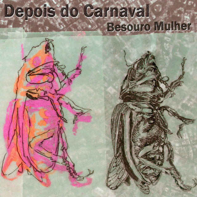 Depois do Carnaval cover art