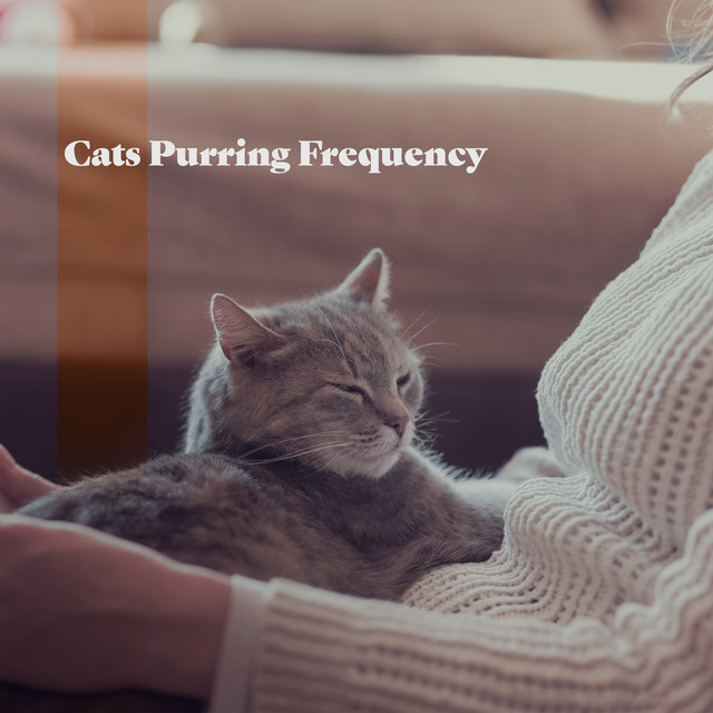 Cats Purring Lucid Waves for Healing and Velvet Hours cover art