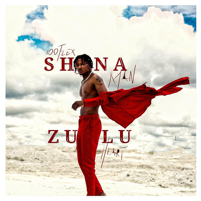 Shona Man, Zulu Heart cover art