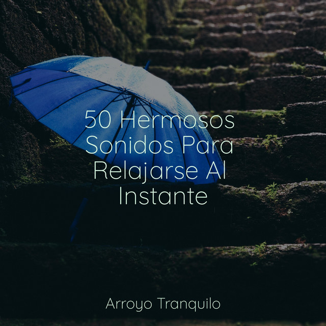 50 Hermosos Sonidos Para Relajarse Al Instante cover art