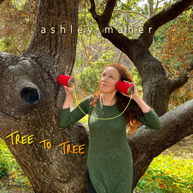 Tree to Tree cover