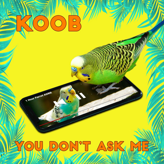 You Don't Ask Me - Single by KOOB | Spotify
