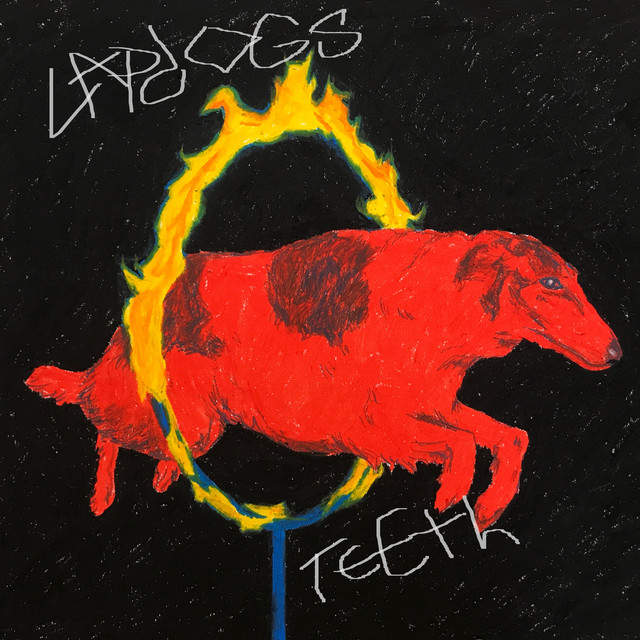 Teeth cover art