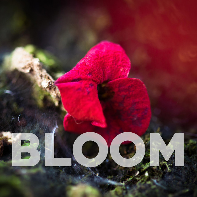 Bloom cover art