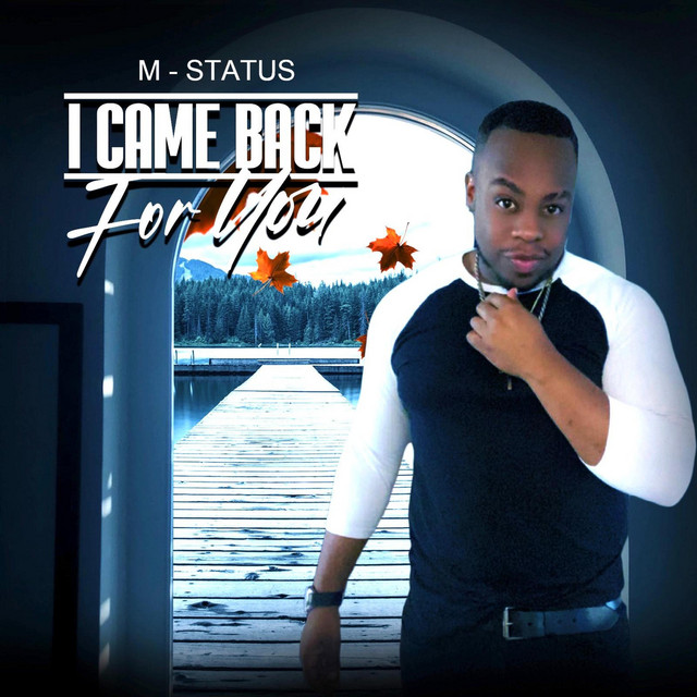 I Came Back For You cover art