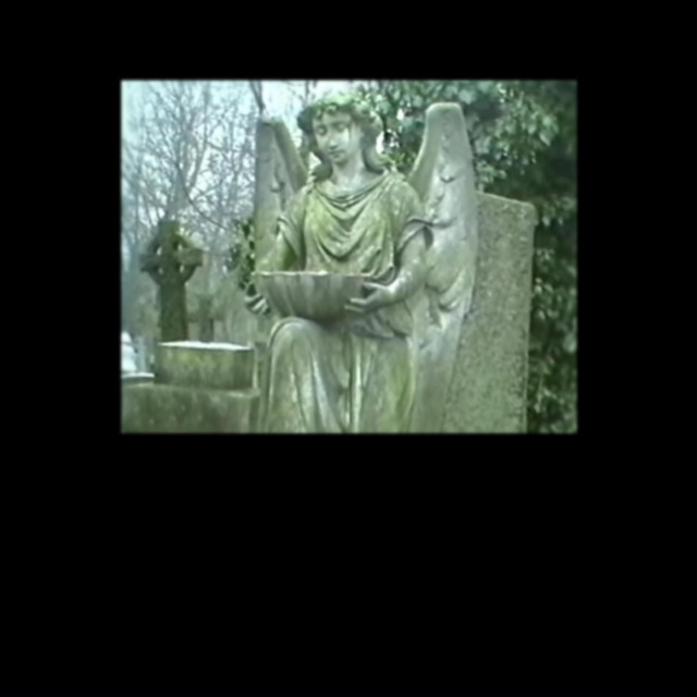 Porcupine Bank cover art