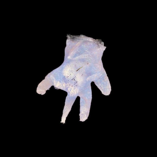 Errors cover art