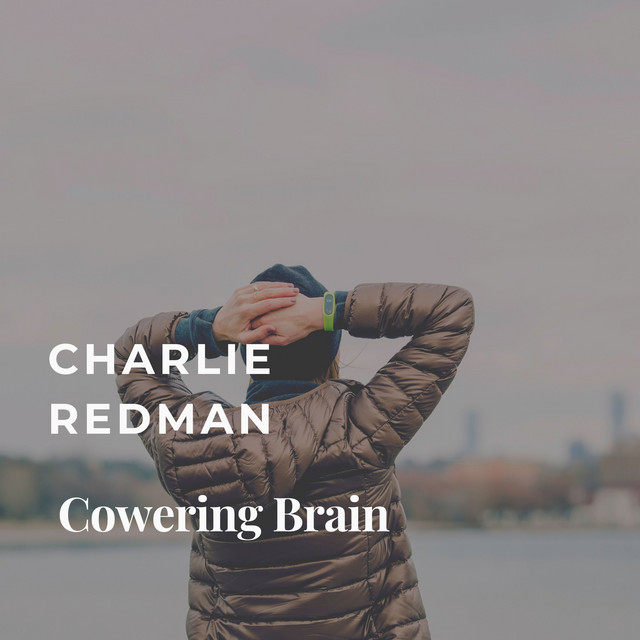 Personality Machinating - song and lyrics by Charlie Redman | Spotify