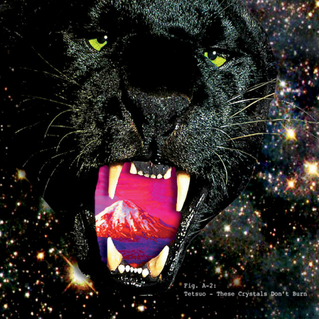 These Crystals Don't Burn cover art