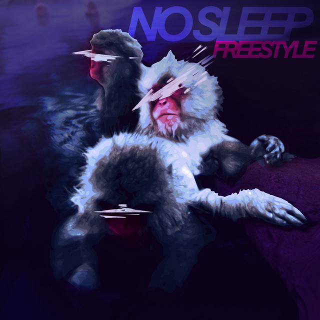 Обкладинка: NO SLEEP FREESTYLE — LSNKB