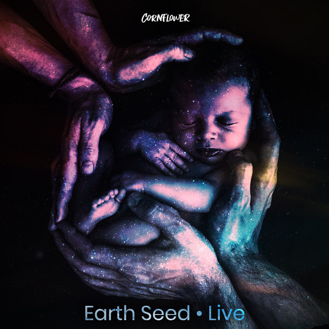 Earth Seed (Live) cover