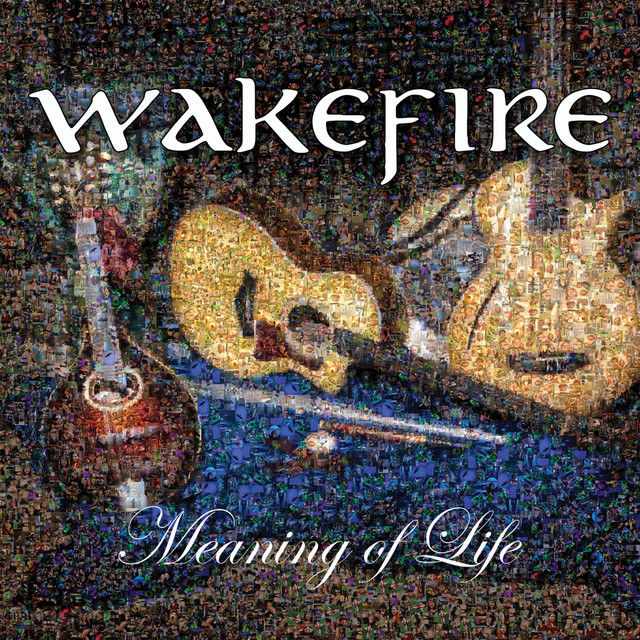 Meaning of Life cover art