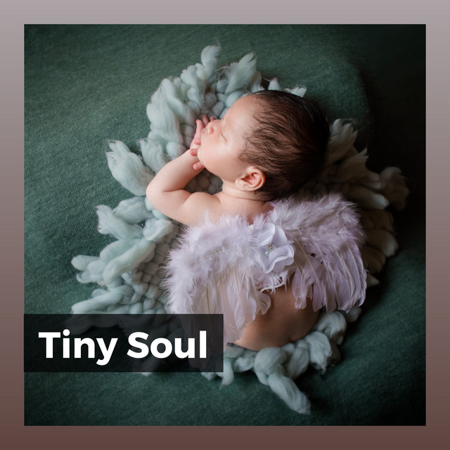 Tiny Soul - Album by Baby Sleep Through the Night | Spotify
