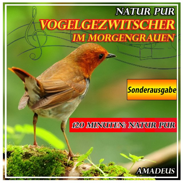 Vogelgezwitscher im Morgengrauen: Natur pur - Sonderausgabe cover art