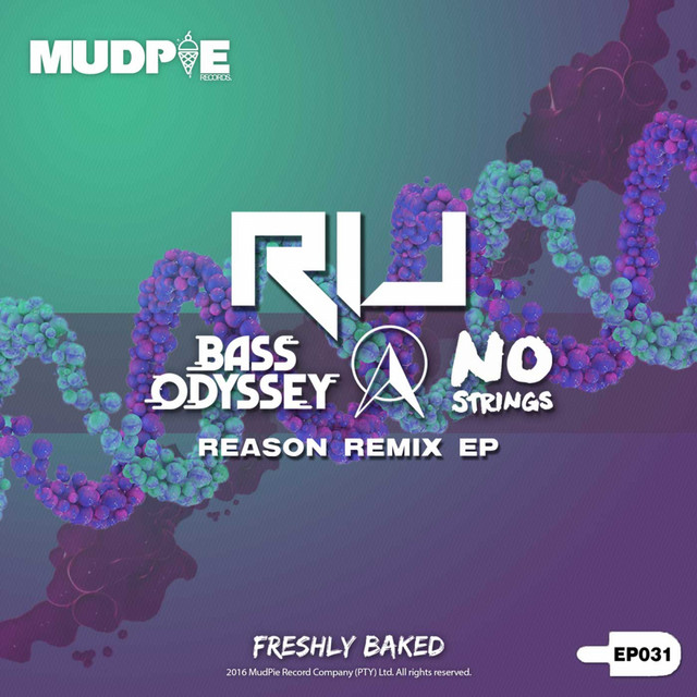 Reason Remixes cover art