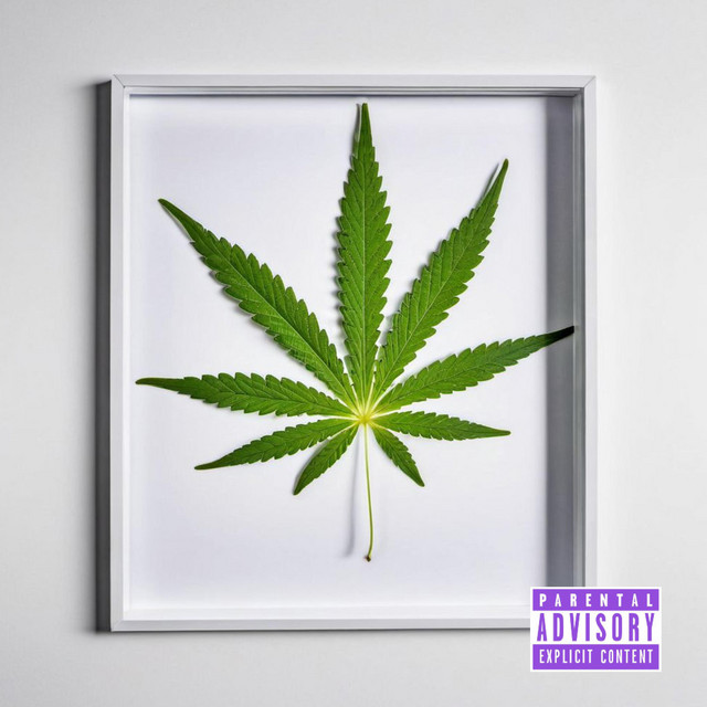 Zimmertape cover art